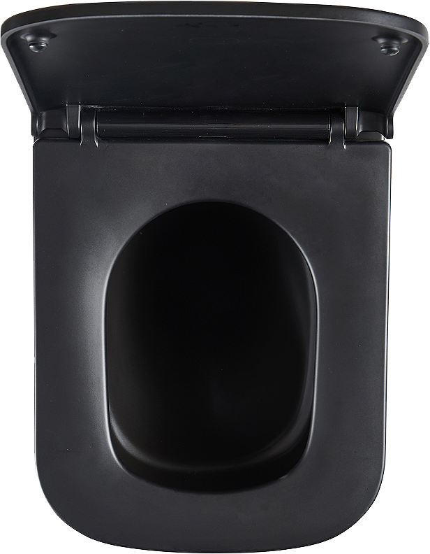 Унитаз подвесной Lemark Florex 9612002 безободковый, с микролифтом, матовый черный