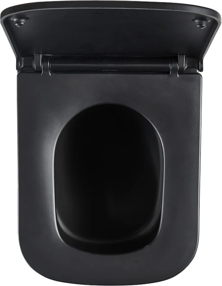 Унитаз подвесной Lemark Florex 9612002 безободковый, с микролифтом, матовый черный