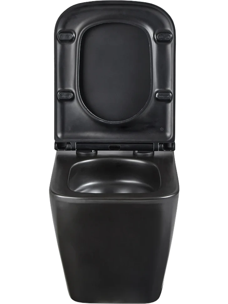 Унитаз подвесной Lemark Florex 9612002 безободковый, с микролифтом, матовый черный