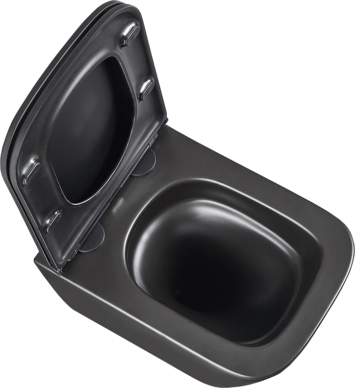 Унитаз подвесной Lemark Florex 9612002 безободковый, с микролифтом, матовый черный