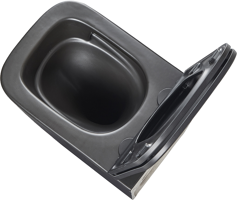 Унитаз подвесной Lemark Florex 9612002 безободковый, с микролифтом, матовый черный