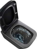 Унитаз подвесной Lemark Florex 9612002 безободковый, с микролифтом, матовый черный