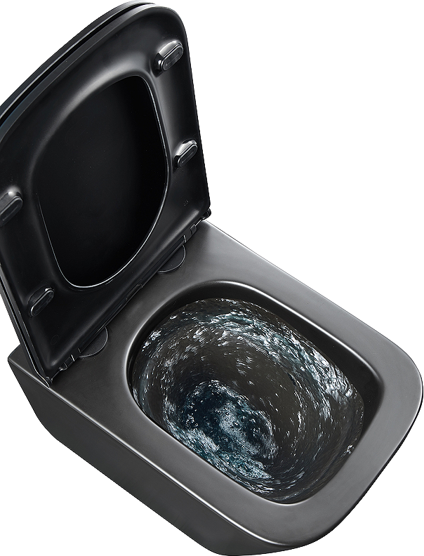 Унитаз подвесной Lemark Florex 9612002 безободковый, с микролифтом, матовый черный