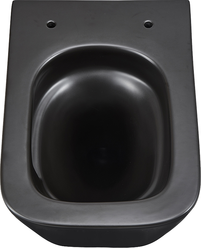 Унитаз подвесной Lemark Florex 9612002 безободковый, с микролифтом, матовый черный