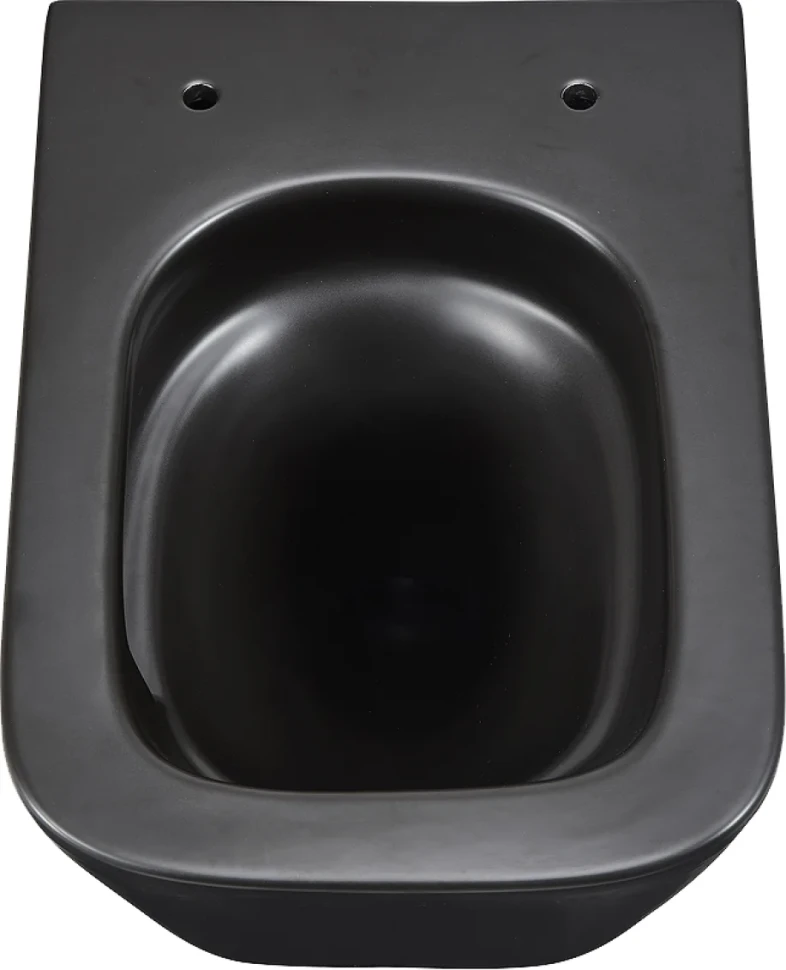 Унитаз подвесной Lemark Florex 9612002 безободковый, с микролифтом, матовый черный