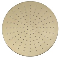 Верхний душ Splendy Feeling R FR212X300R1GM брашированное золото