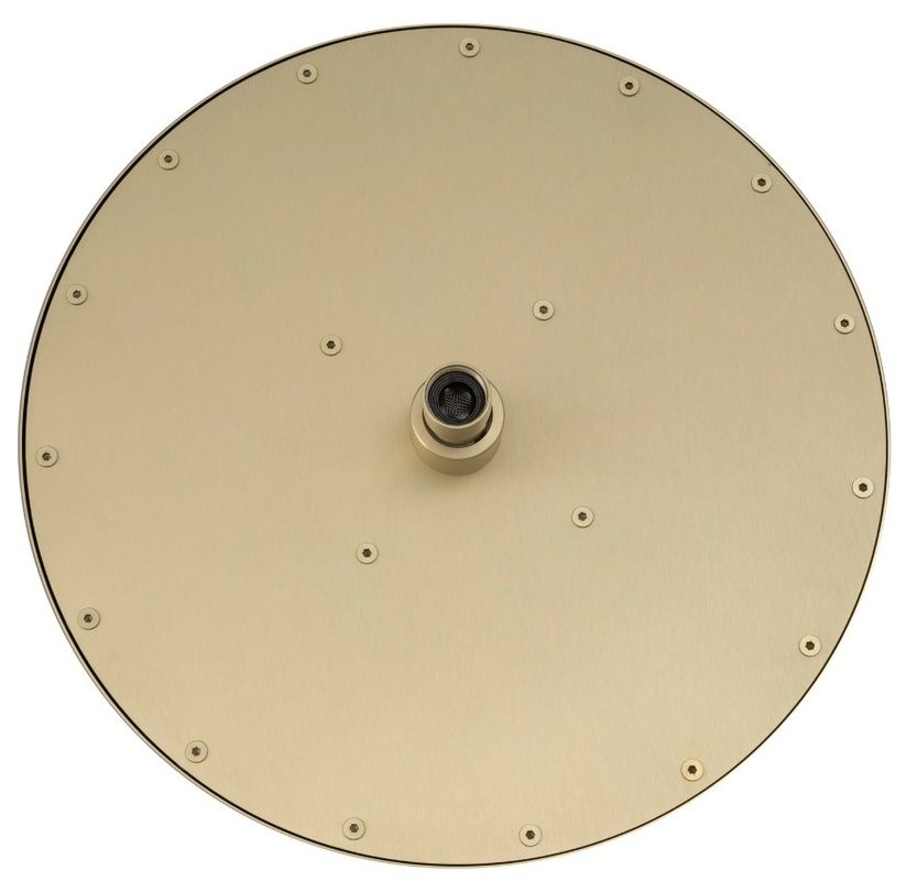 Верхний душ Splendy Feeling R FR212X300R1GM брашированное золото