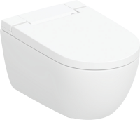 Комплект Умный унитаз Geberit AquaClean Alba безободковый, с биде + Инсталляция Duofix UP 320 111.300.00.5 + Кнопка Sigma 70 115.622.FW.1 матовая нержавеющая сталь + Звукоизоляция + Крепления 111.815.00.1 к стене
