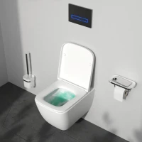 Унитаз подвесной AM.PM Gem C901901SC Aquaspin, безободковый, сиденье с микролифтом, глянцевый белый