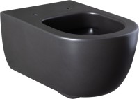 Унитаз подвесной Allen Brau Priority 4.31001.31 безободковый, с микролифтом, черный