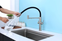 Смеситель для кухни Paulmark Nexus Ne213999-BS с гибким изливом, брашированная сталь