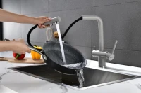 Смеситель для кухни Paulmark Serpentine Se213222-DG графит