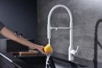 Смеситель для кухни Paulmark Magneto One Ma213188-WH белый Смеситель для кухни Paulmark Magneto One Ma213188-WH белый