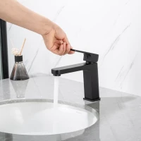 Смеситель для раковины Frap H89 F1089-6 черный Смеситель для раковины Frap H89 F1089-6 черный