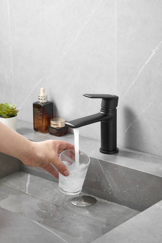 Смеситель для раковины Haiba HB10564-7 черный