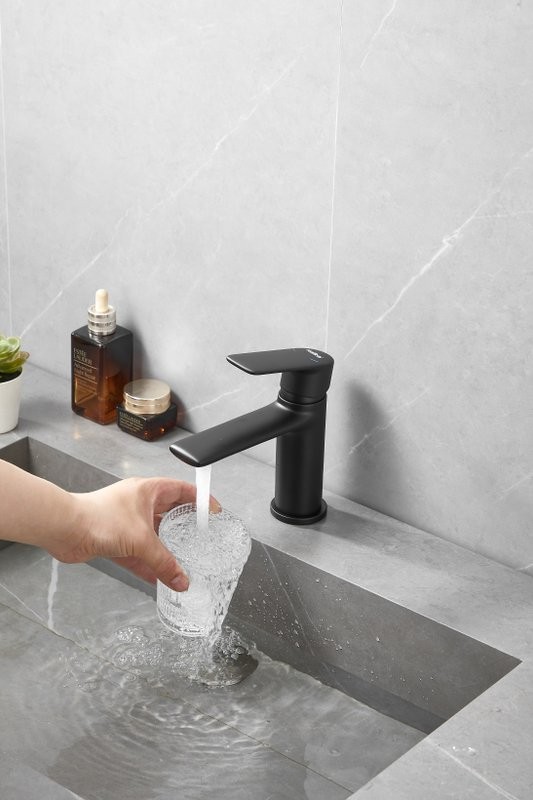 Смеситель для раковины Haiba HB10564-7 черный