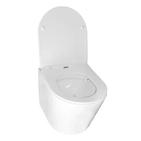 Унитаз подвесной AZARIO Teramo AZ-0053 SP глянцевый белый Унитаз подвесной AZARIO Teramo AZ-0053 SP глянцевый белый
