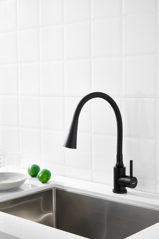 Смеситель для кухни BELZ B810 B74810-7 с гибким изливом, черный