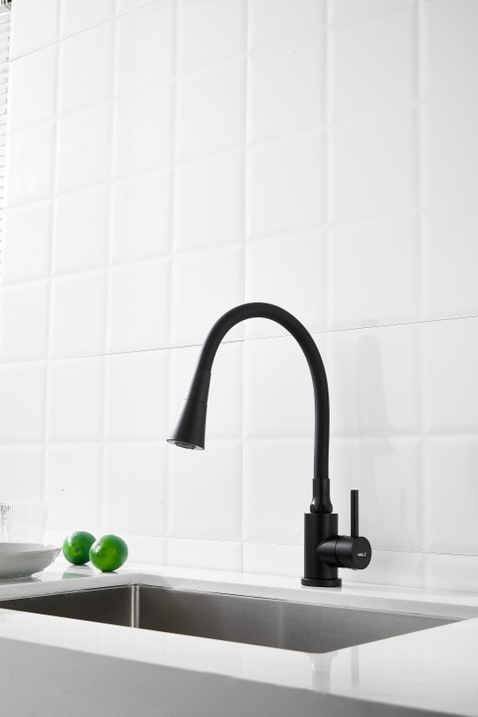 Смеситель для кухни BELZ B810 B74810-7 с гибким изливом, черный