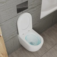 Унитаз подвесной Bauedge Bau Dream Hurricane3 безободковый, с микролифтом, белый