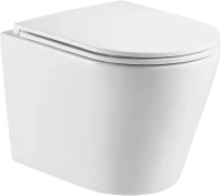 Унитаз подвесной Weltwasser WW SK Salzbach 043 GL-WT безободковый, с микролифтом, белый глянец