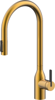 Смеситель для кухни Paulmark Universal Un213880-BG брашированное золото
