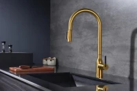 Смеситель для кухни Paulmark Universal Un213880-BG брашированное золото Смеситель для кухни Paulmark Universal Un213880-BG брашированное золото