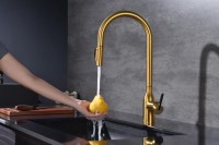 Смеситель для кухни Paulmark Universal Un213880-BG брашированное золото