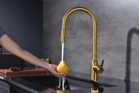 Смеситель для кухни Paulmark Universal Un213880-BG брашированное золото Смеситель для кухни Paulmark Universal Un213880-BG брашированное золото