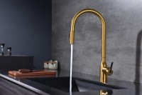 Смеситель для кухни Paulmark Universal Un213880-BG брашированное золото