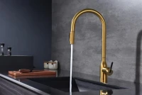 Смеситель для кухни Paulmark Universal Un213880-BG брашированное золото Смеситель для кухни Paulmark Universal Un213880-BG брашированное золото