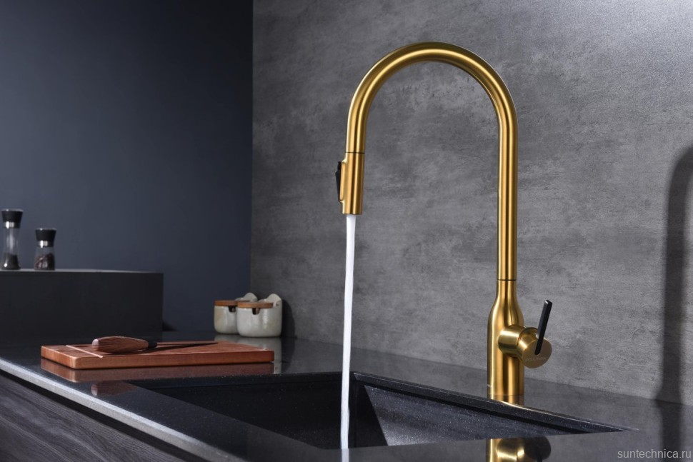 Смеситель для кухни Paulmark Universal Un213880-BG брашированное золото