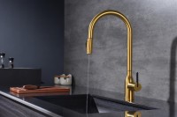 Смеситель для кухни Paulmark Universal Un213880-BG брашированное золото