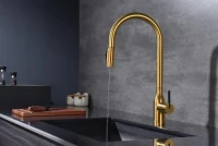 Смеситель для кухни Paulmark Universal Un213880-BG брашированное золото Смеситель для кухни Paulmark Universal Un213880-BG брашированное золото