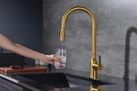 Смеситель для кухни Paulmark Universal Un213880-BG брашированное золото Смеситель для кухни Paulmark Universal Un213880-BG брашированное золото