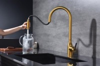 Смеситель для кухни Paulmark Universal Un213880-BG брашированное золото