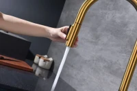 Смеситель для кухни Paulmark Universal Un213880-BG брашированное золото Смеситель для кухни Paulmark Universal Un213880-BG брашированное золото