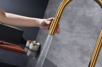 Смеситель для кухни Paulmark Universal Un213880-BG брашированное золото