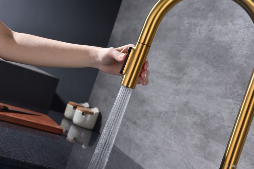 Смеситель для кухни Paulmark Universal Un213880-BG брашированное золото