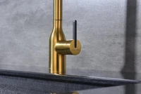 Смеситель для кухни Paulmark Universal Un213880-BG брашированное золото Смеситель для кухни Paulmark Universal Un213880-BG брашированное золото