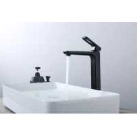 Смеситель для раковины Raglo R51.15.06, черный
