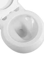 Унитаз подвесной Cezares Grande CZR-308-TH-TOR/SC безободковый, сиденье с микролифтом