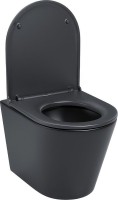 Унитаз подвесной IDDIS Calipso CALR3BMi25 безободковый, с микролифтом