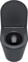 Унитаз подвесной IDDIS Calipso CALR3BMi25 безободковый, с микролифтом