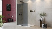 Душевая перегородка Cezares Liberta L-1-TB-120-GR-NERO профиль черный, стекло серое