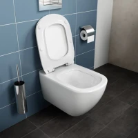 Унитаз подвесной Ideal Standard Tesi T354601 с микролифтом Унитаз подвесной Ideal Standard Tesi T354601 с микролифтом