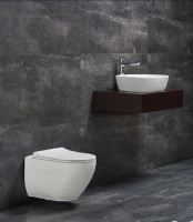 Унитаз подвесной beWash Bogen 88393201 безободковый с микролифтом, белый
