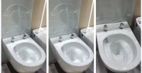 Унитаз подвесной beWash Bogen 88393201 безободковый с микролифтом, белый