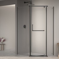 Душевой уголок RGW Passage PA-091B 90х80, профиль черный, стекло прозрачное