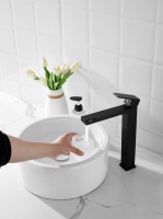 Смеситель для раковины BELZ B613 B11613-7 матовый черный